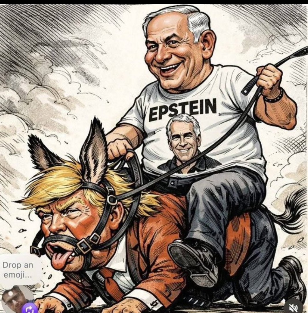 Nurhan Demir tweet media