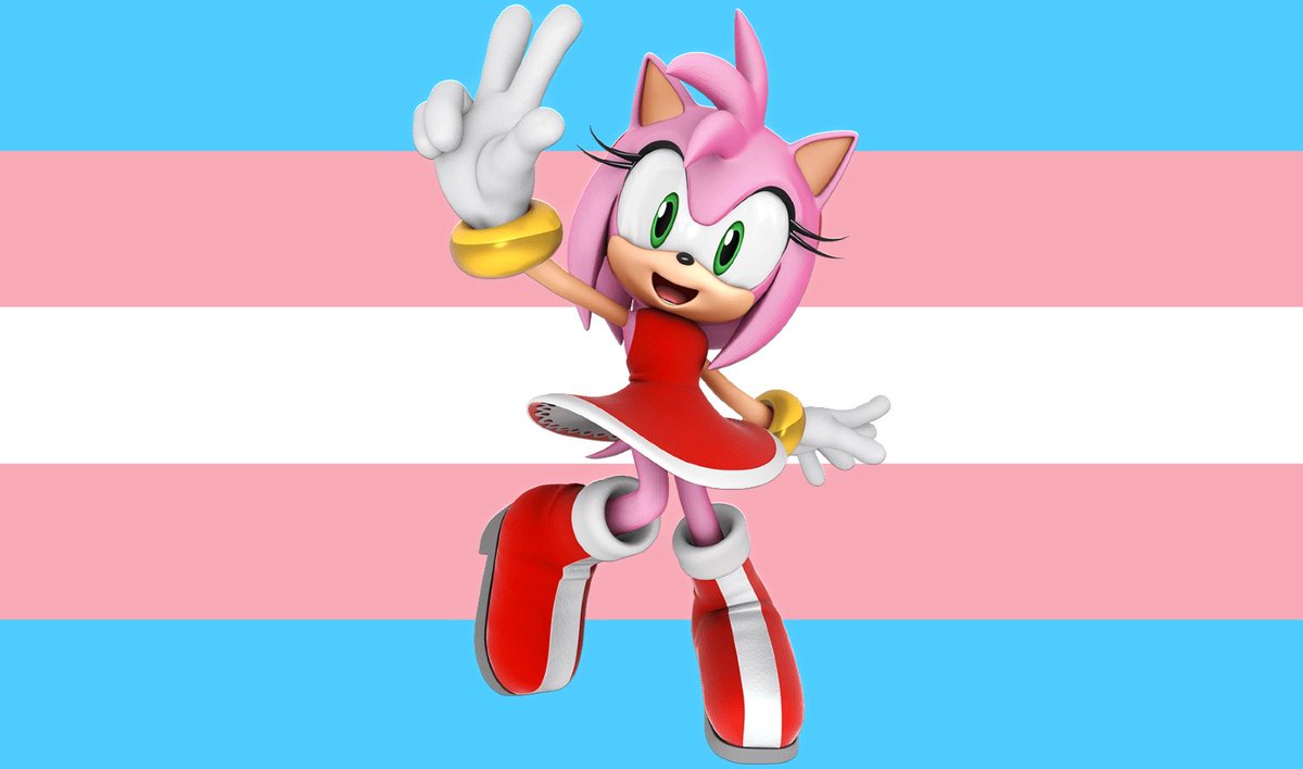 🩷 Amy Rose! 🩷 tweet media