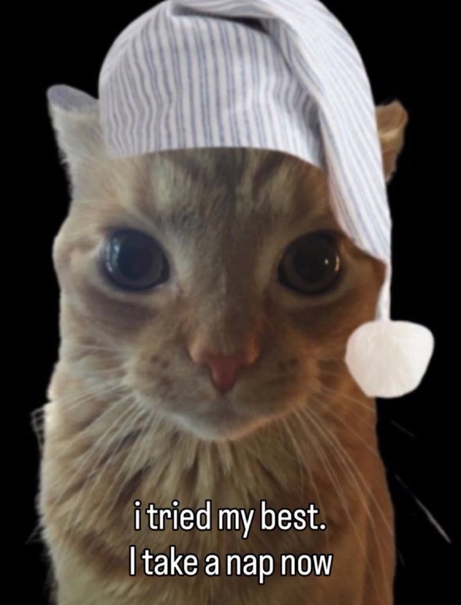 ๐๐ฆ๐ณ๐ โฉโค๏ธโ๐ฅ tweet media