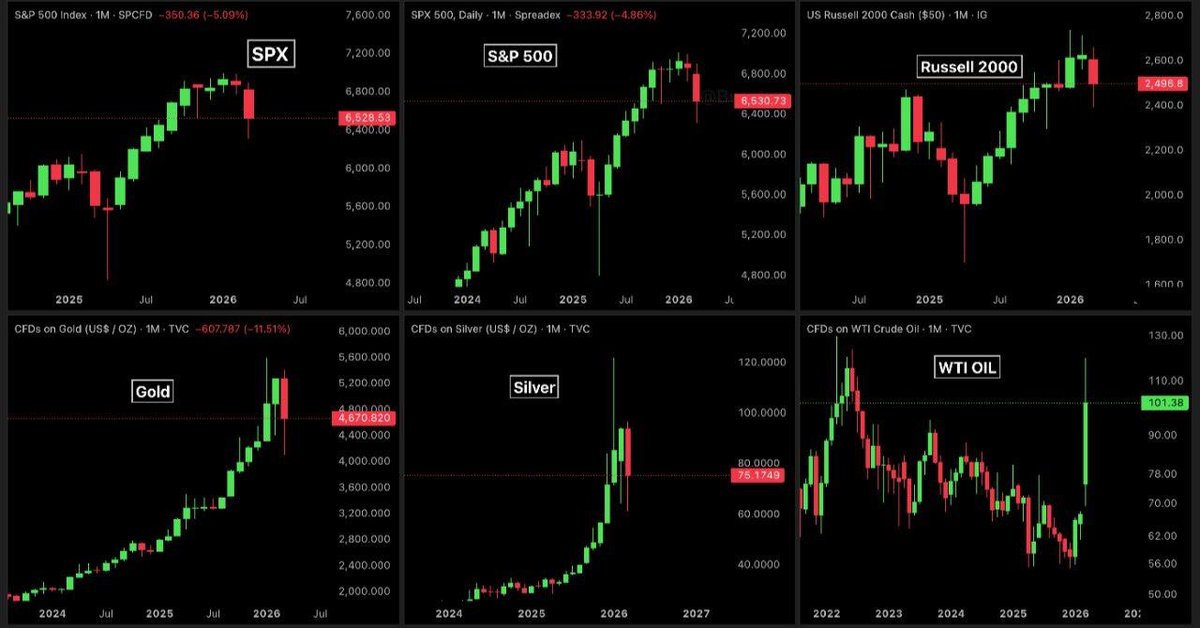 Bull Theory tweet media