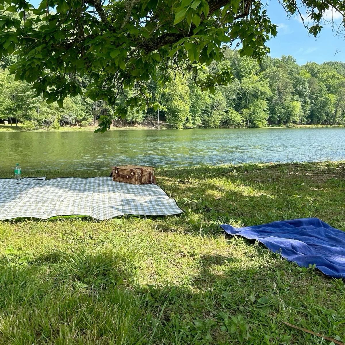 saturn ☆ SEEING LOUIS tweet media