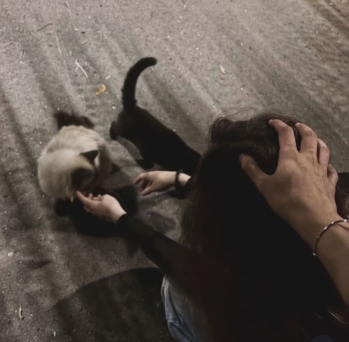 saturn ☆ SEEING LOUIS tweet media