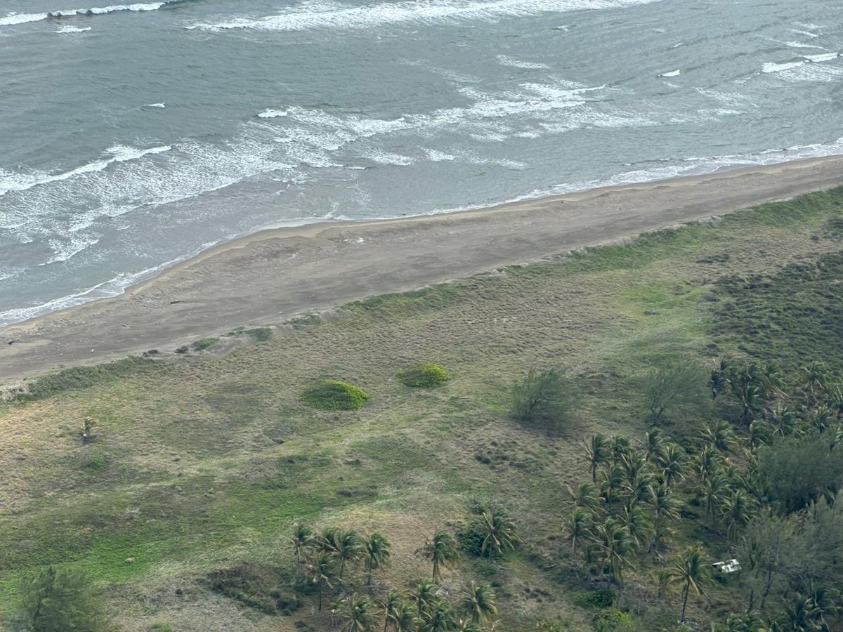 Alicia Bárcena tweet media