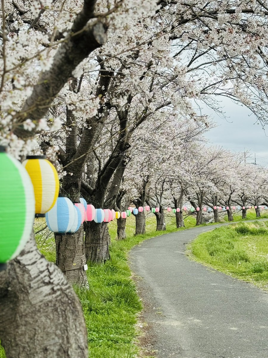 ron ron 5/23.24デザフェス tweet media