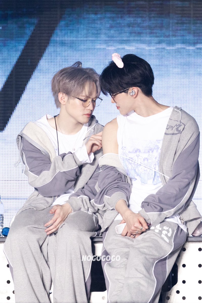 NOGOGOGO tweet media