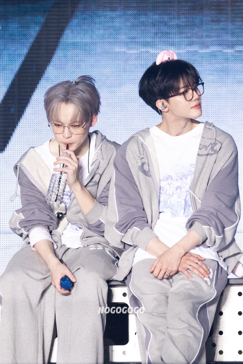 NOGOGOGO tweet media