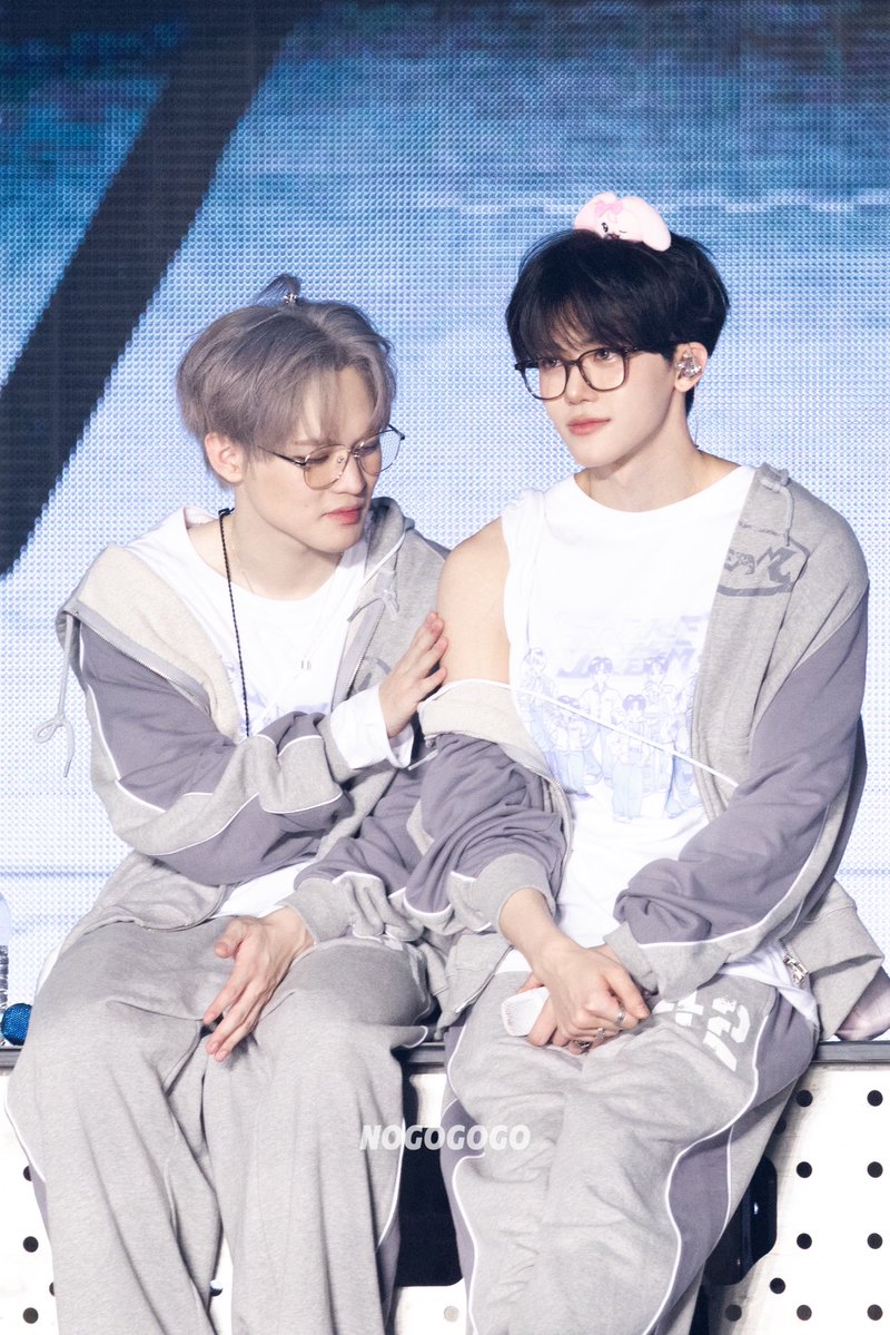 NOGOGOGO tweet media