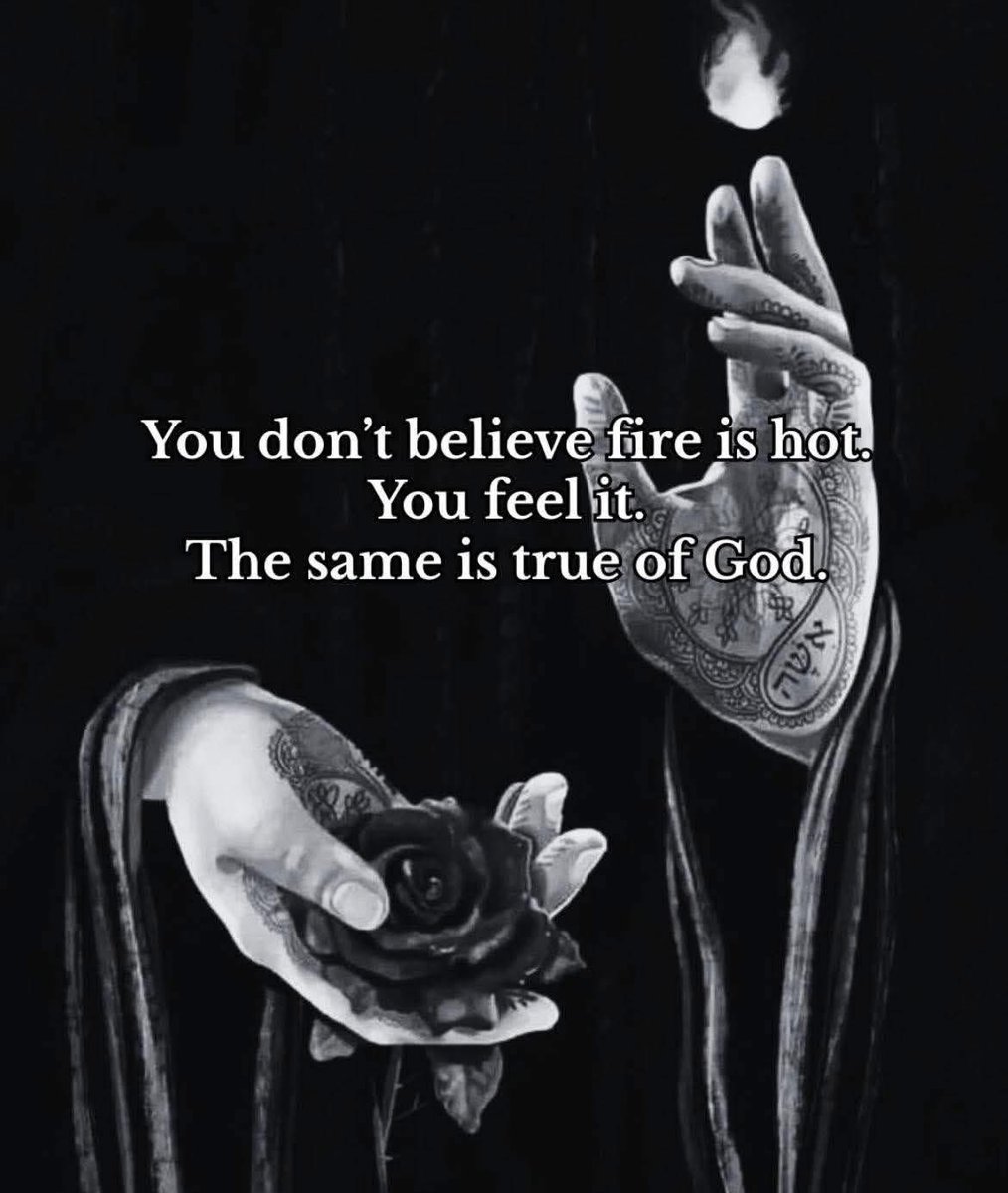 🧬Maxpein🧬 tweet media