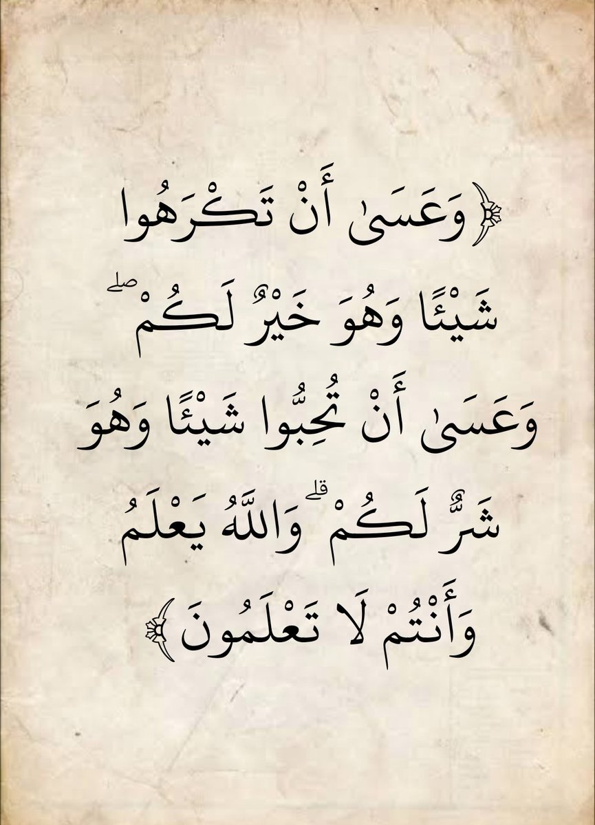 المُصْحَف tweet media