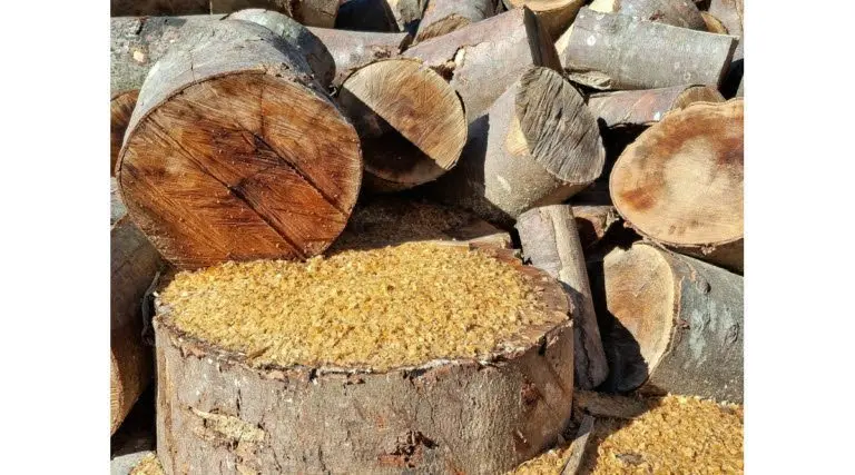 Rural Development Kansas tweet media