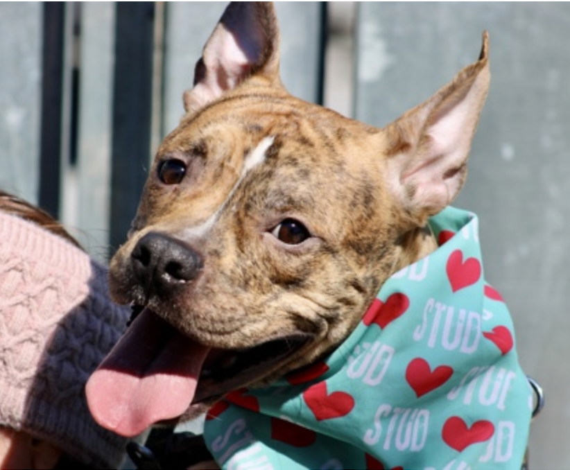 Tootsismyname🏴‍☠️ tweet media