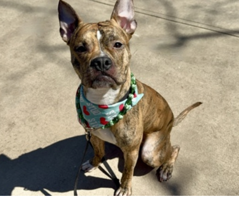 Tootsismyname🏴‍☠️ tweet media