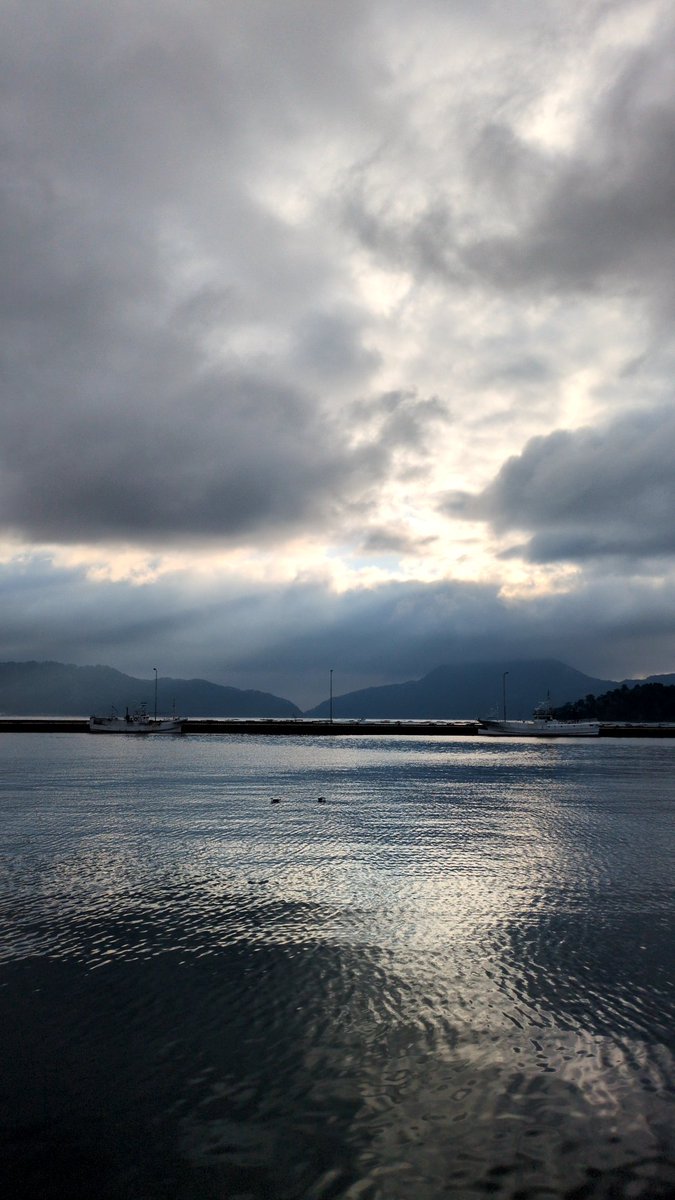 新🌟2ﾌﾞﾛみーたん tweet media