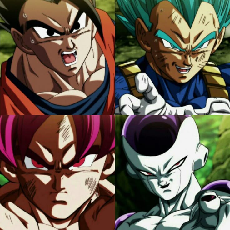 Spririter tweet media