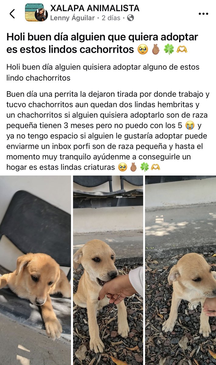 ANGIE COLUNGA tweet media