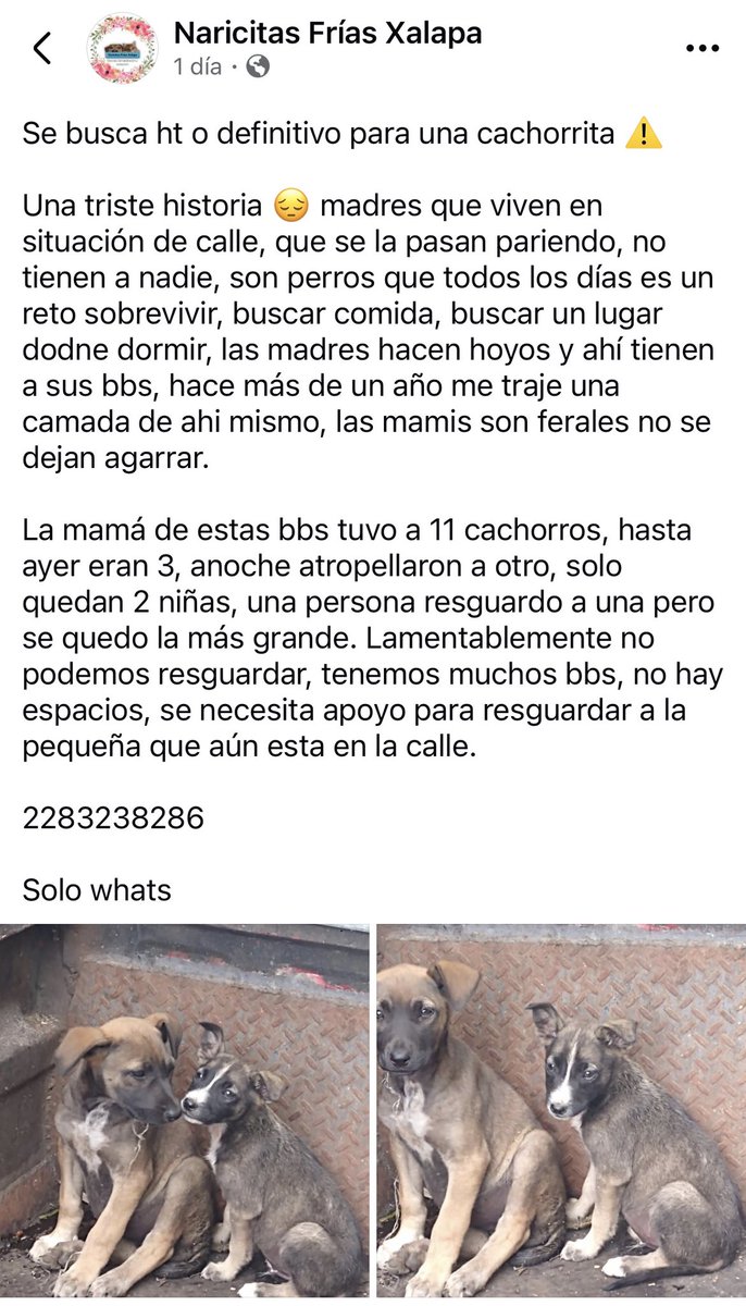 ANGIE COLUNGA tweet media