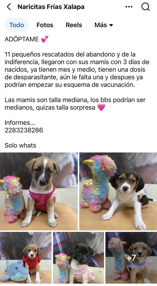 ANGIE COLUNGA tweet media