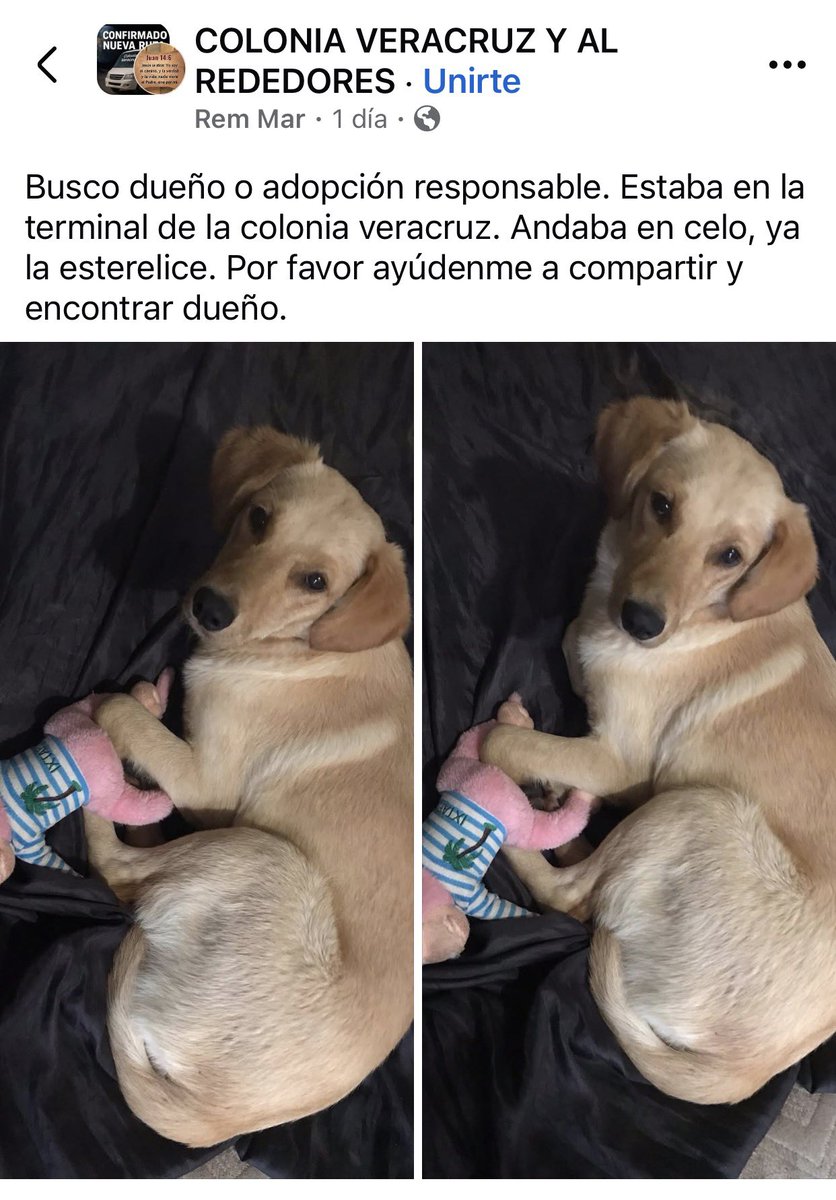 ANGIE COLUNGA tweet media