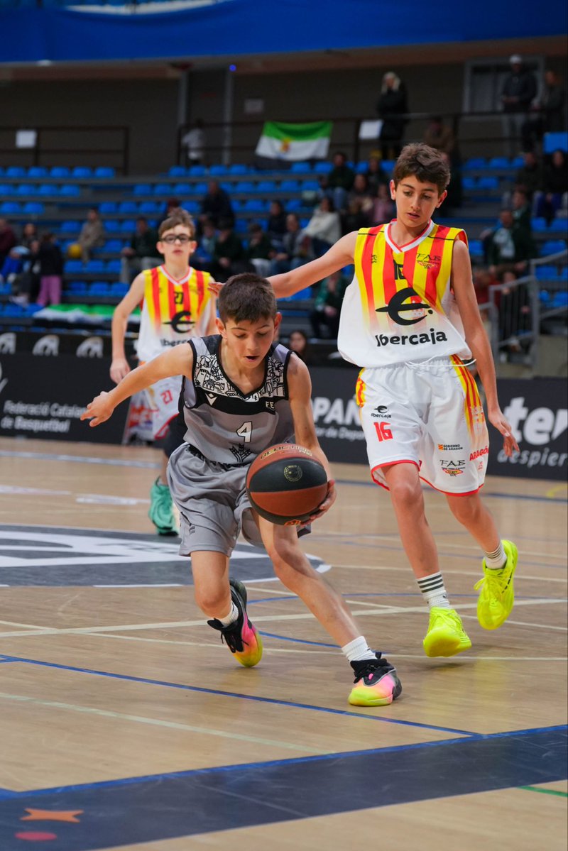 Federación Extremeña de Baloncesto tweet media