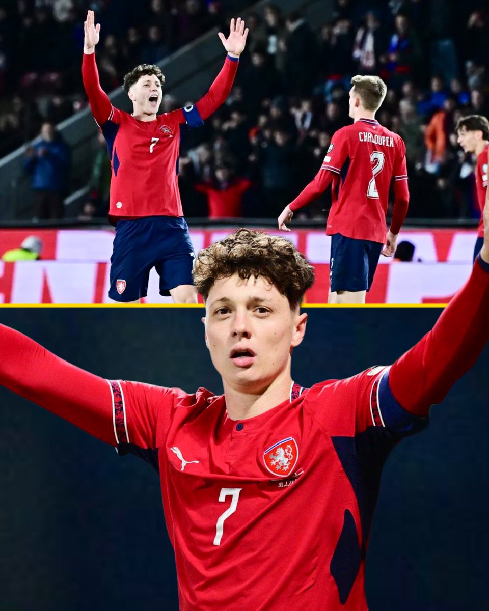 Talking Wolves tweet media