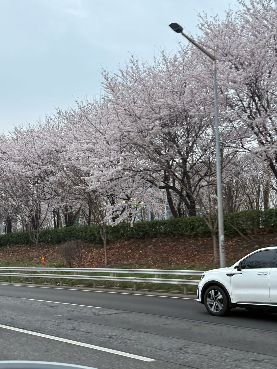 🦄🍞🌙🍐💬 tweet media