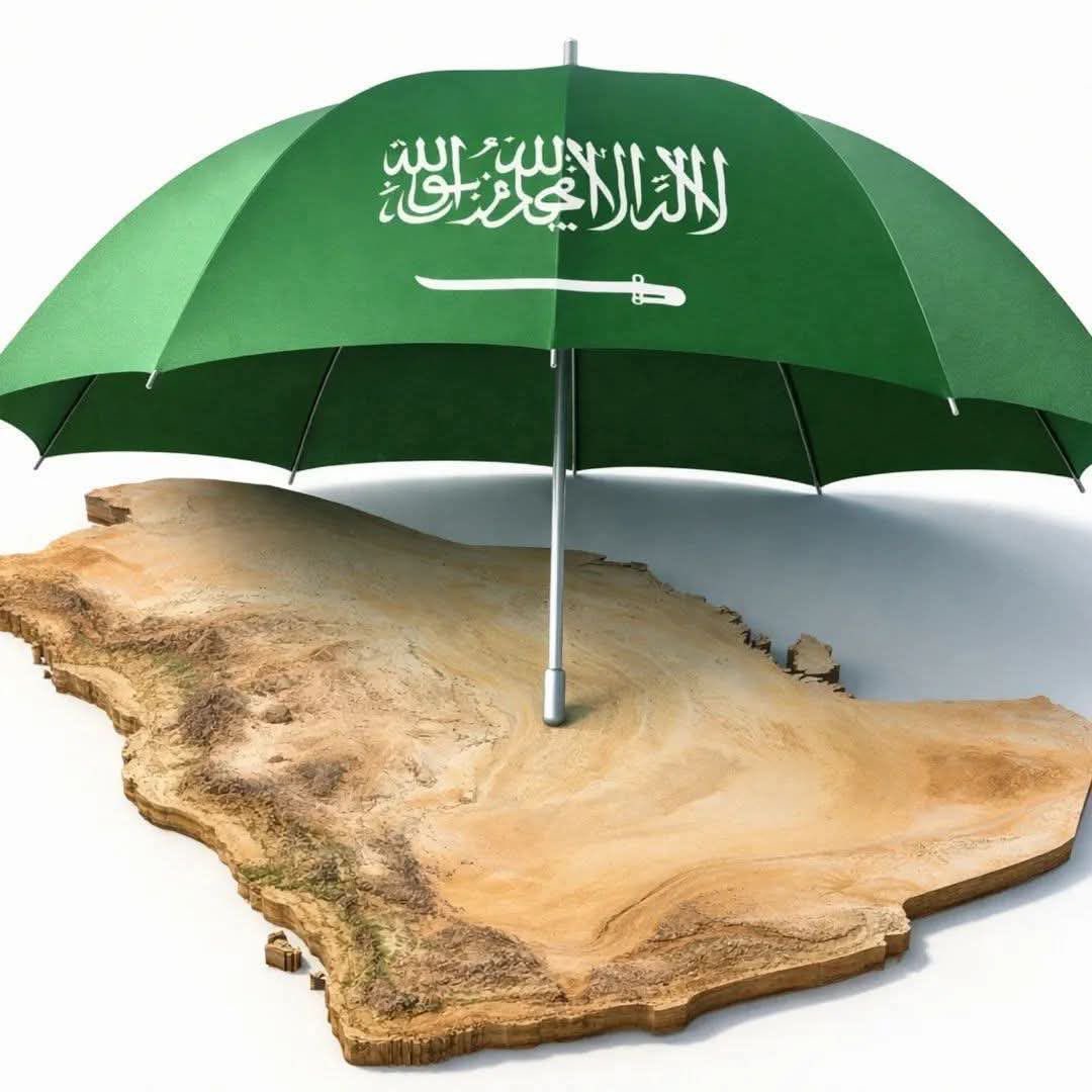 صافِ. tweet media