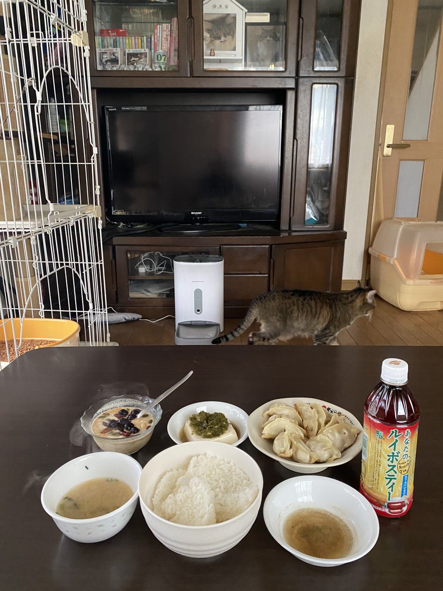 ダリル tweet media