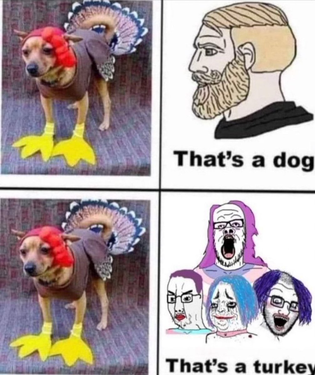 Canadian Patriot Media tweet media