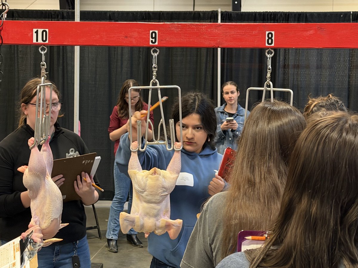 HuntFFA's tweet photo. Hunt FFA Poultry Judging Teams competed today in Raleigh. https://t.co/QDDnuxse2k