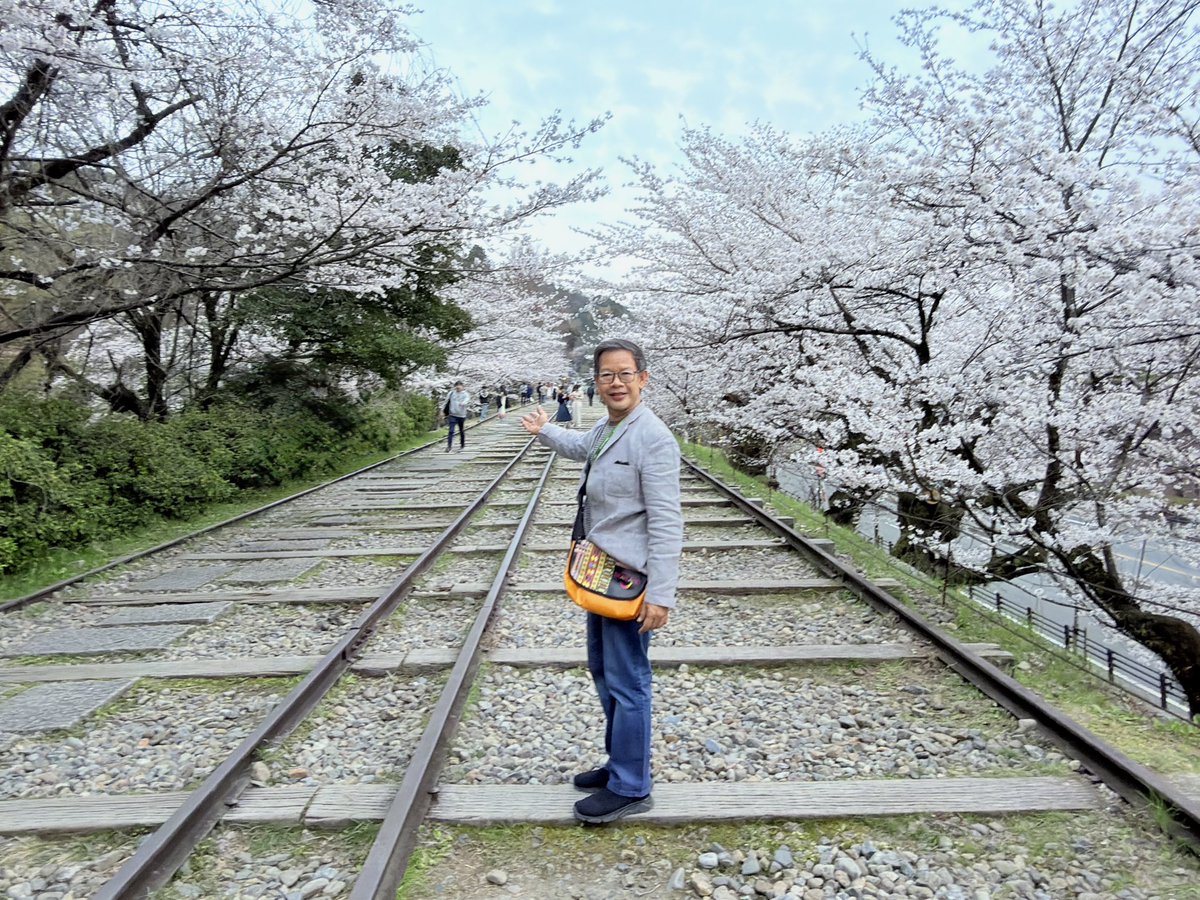 tipamart's tweet photo. Somei Yoshino Sakura 🌸 @ Keage Incline, Kyoto City, Japan 🇯🇵 ตื่นตากับซากุระพันธุ์โซเมอิโยชิโนะที่ คีอาเกะอินไคล์เกียวโต #traveler #visitjapan #travelover #myjourney #kyoto https://t.co/HxX1f9OX3N