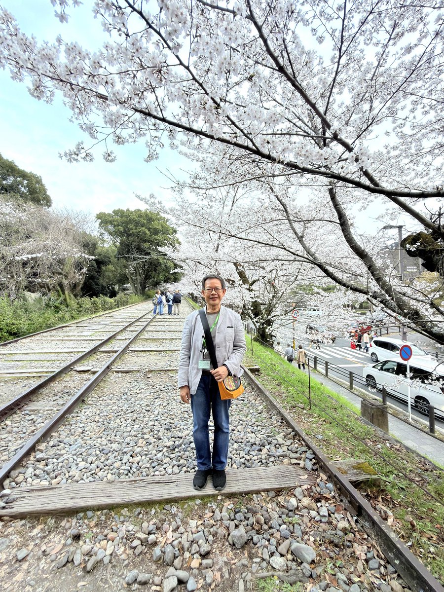 tipamart's tweet photo. Somei Yoshino Sakura 🌸 @ Keage Incline, Kyoto City, Japan 🇯🇵 ตื่นตากับซากุระพันธุ์โซเมอิโยชิโนะที่ คีอาเกะอินไคล์เกียวโต #traveler #visitjapan #travelover #myjourney #kyoto https://t.co/HxX1f9OX3N