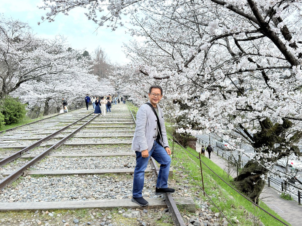 tipamart's tweet photo. Somei Yoshino Sakura 🌸 @ Keage Incline, Kyoto City, Japan 🇯🇵 ตื่นตากับซากุระพันธุ์โซเมอิโยชิโนะที่ คีอาเกะอินไคล์เกียวโต #traveler #visitjapan #travelover #myjourney #kyoto https://t.co/HxX1f9OX3N
