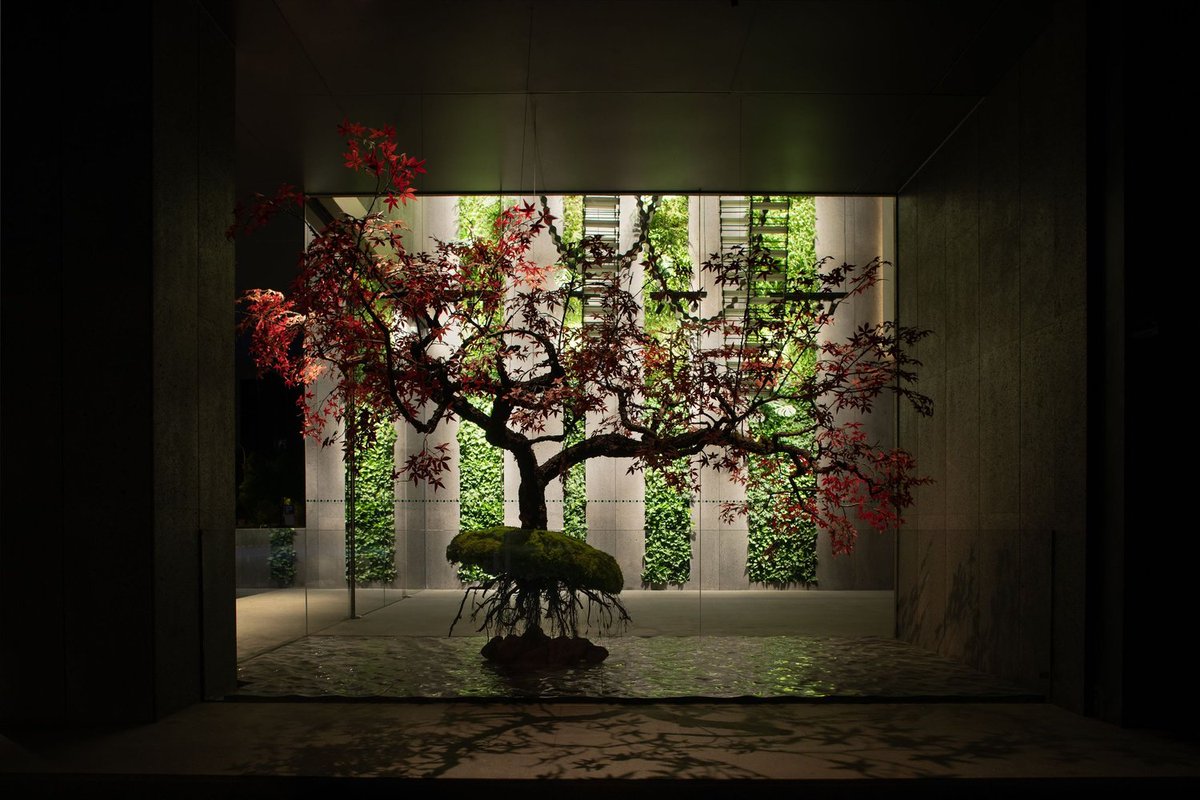 Sci-Fi Archives tweet media