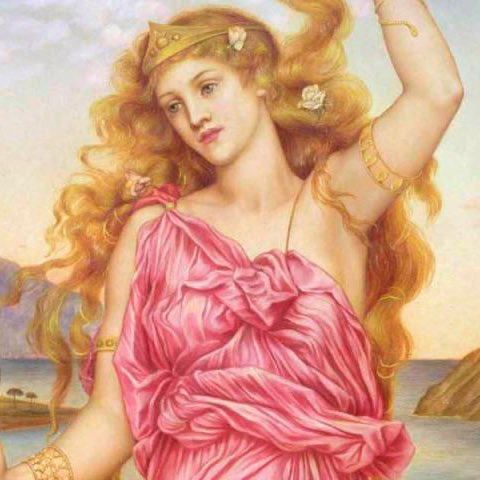 rafael dominik💋#TEAMSAMIRA tweet media