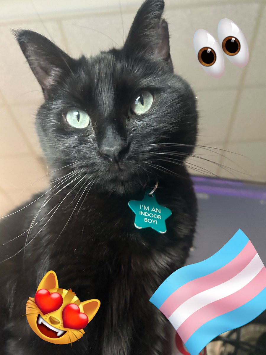 Bbella and MOLLY Burd! 🇵🇸 tweet media