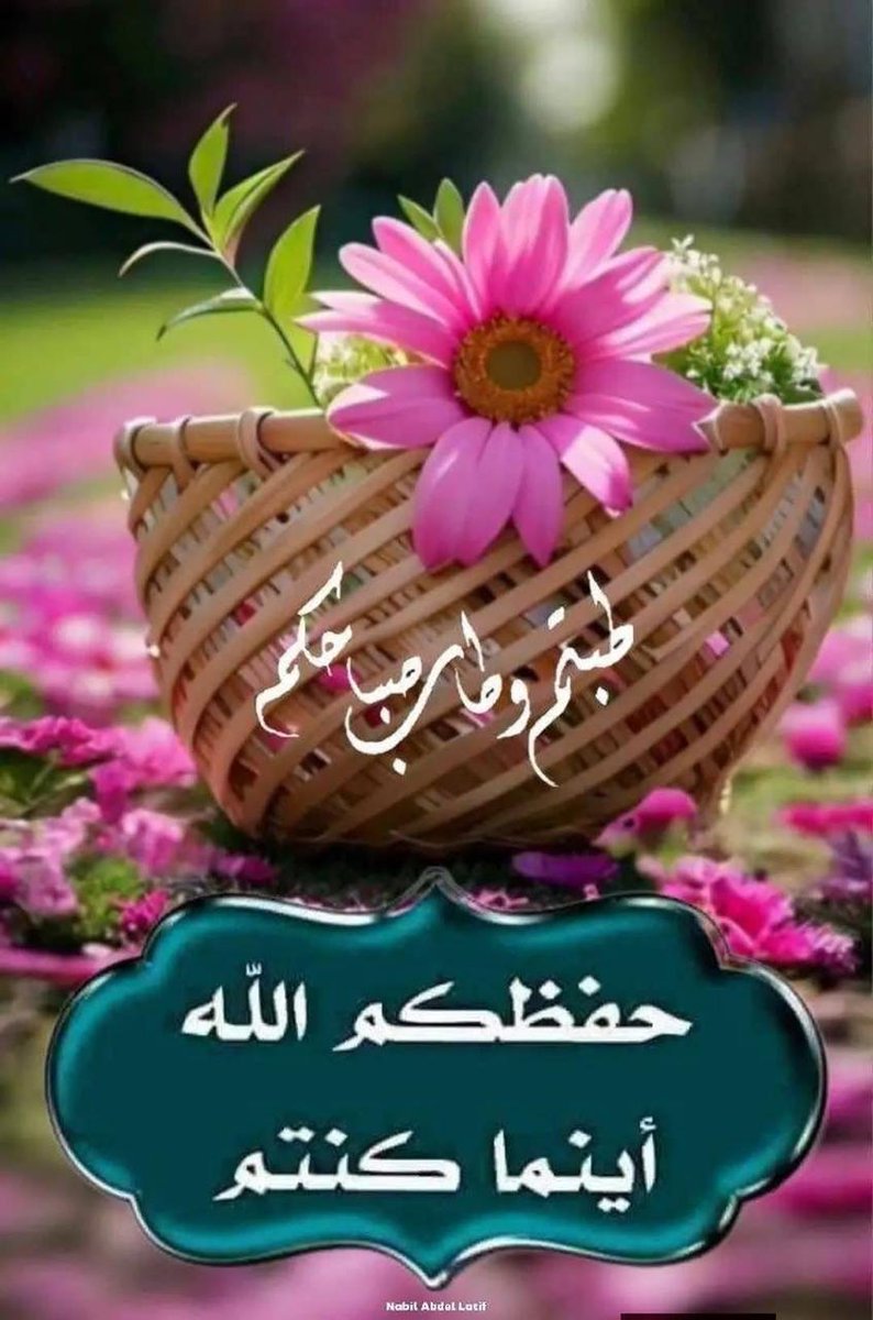 احمد السلامي tweet media