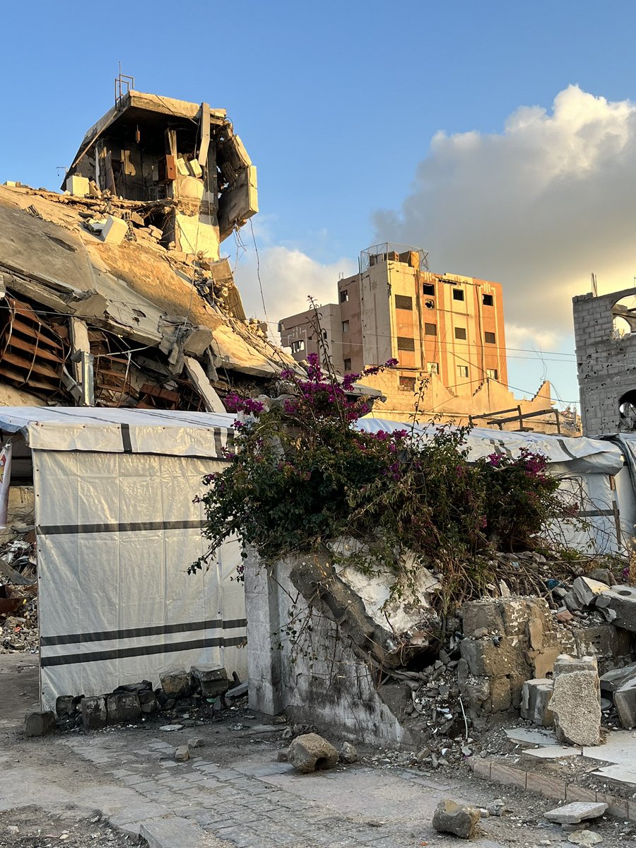 محمد 𓂆 tweet media