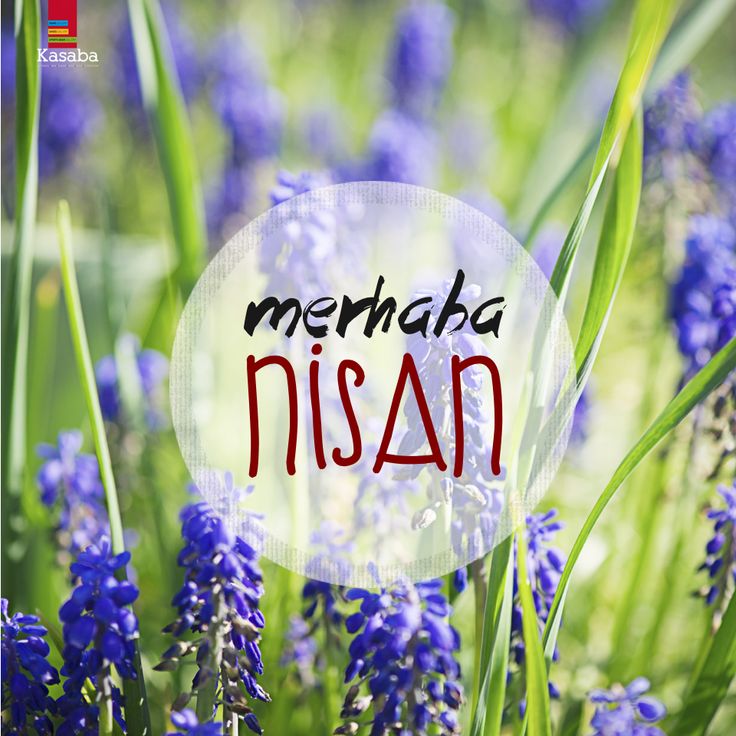 CebeciFamilyTR's tweet photo. #Hoşgeldin #welcome #Nisan ❤️ https://t.co/rpewy4DcuY