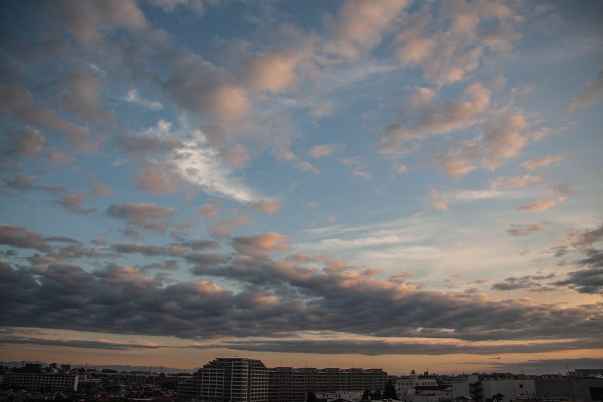 roncan0914 tweet media