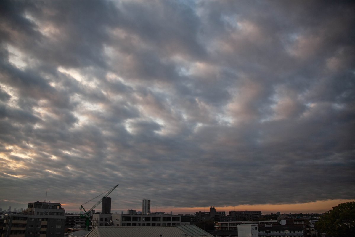 roncan0914 tweet media