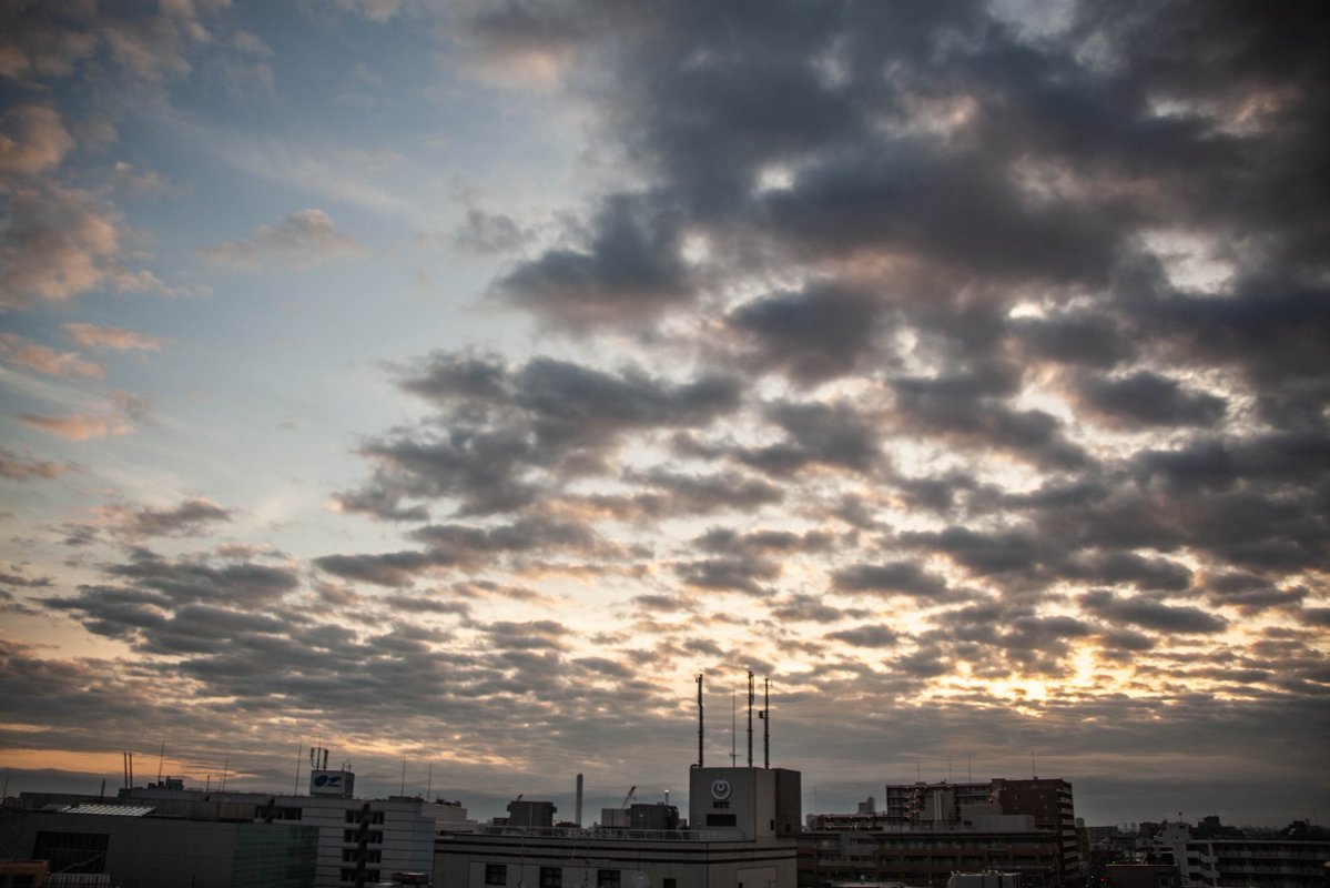 roncan0914 tweet media