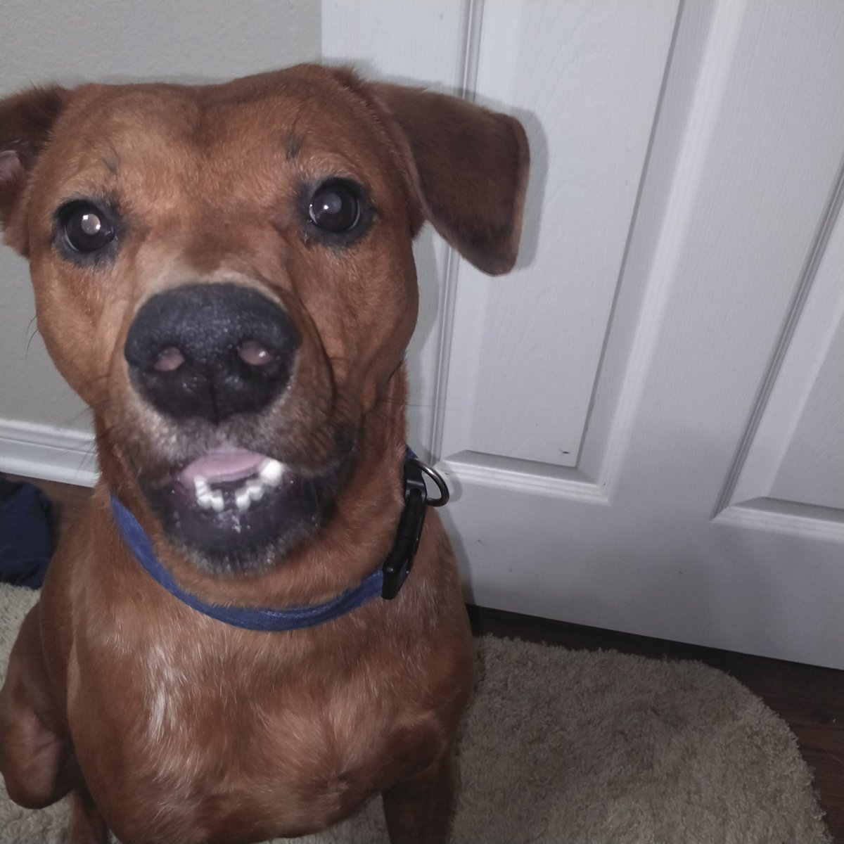 David Smith tweet media