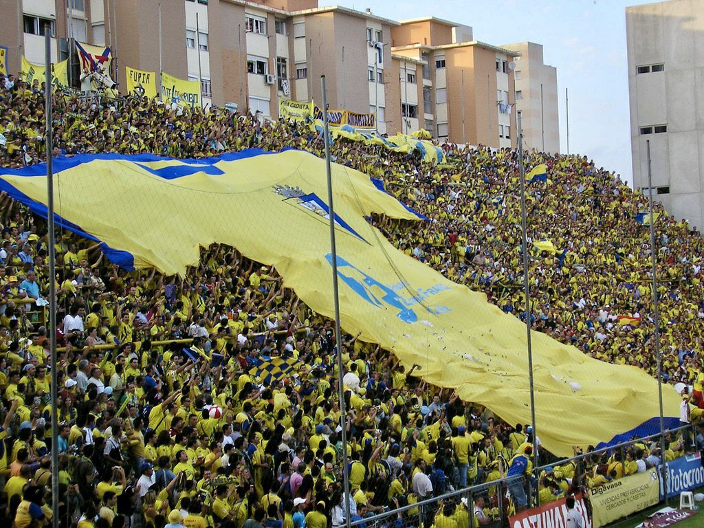 Chico Flores tweet media