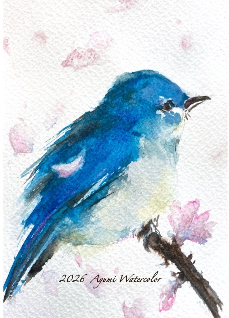 あゆみ tweet media