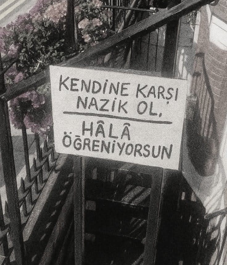 Sema 🇹🇷 tweet media