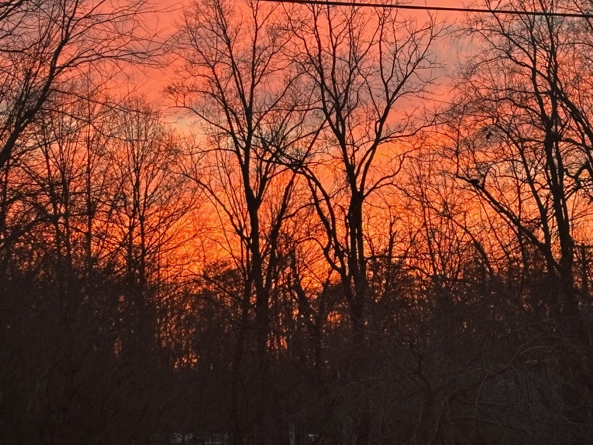 Echo Mountain 📢 🏔️ tweet media