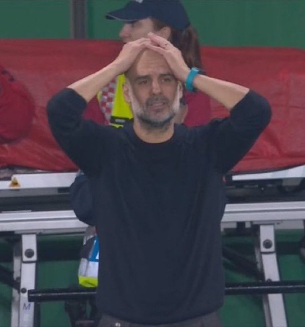 Berneese tweet media