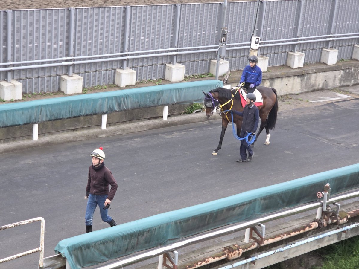 水野貴史厩舎【公式】 tweet media