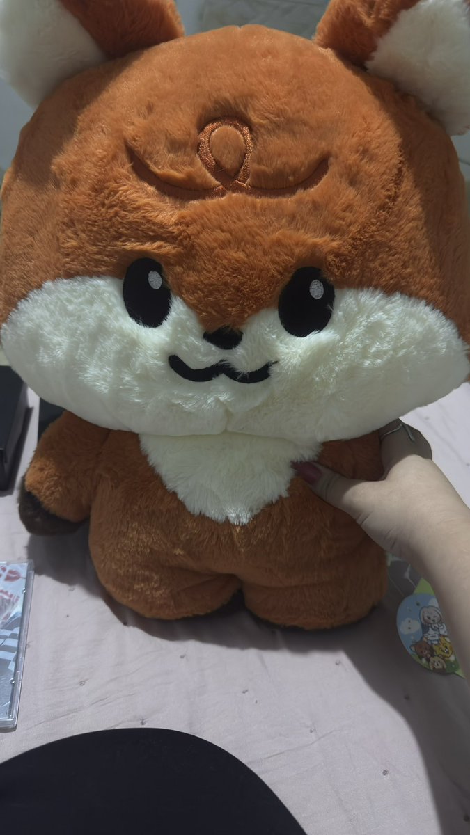 𑣲 anália tweet media