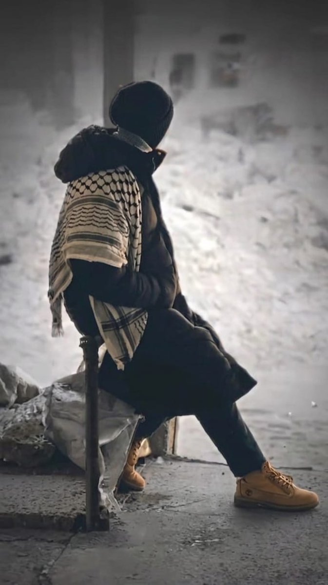 Shereen 𓂆 🇵🇸 tweet media